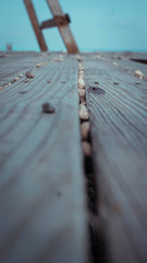 madera y rocas pequeñas 