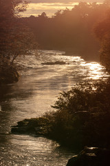 朝日で輝く川