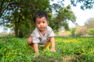 Naklejka na ściany i meble Adorable asian preschooler boy playing in summer park sittingon the grass