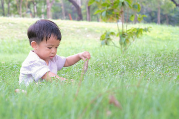 Adorable asian preschooler boy playing in summer park sittingon the grass
