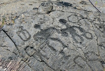 Hawaii Pictograph