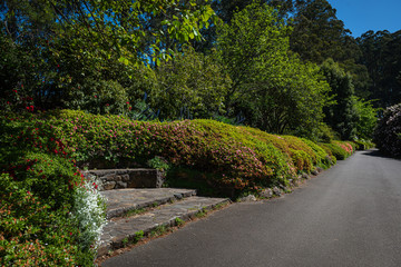 path in the park