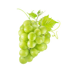 Green Shine muscat Grape on white background