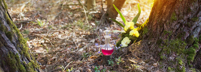 magic potion in bottle in  fairy forest