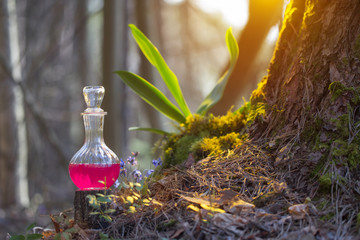 magic potion in bottle in  fairy forest