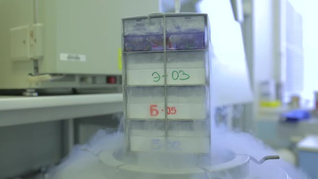 Storing frozen eggs and sperm in a box filled with liquid nitrogen, way to store human eggs, male sperm for fertilization, liquid nitrogen, cold, canister steam, preservation tank, high technology
