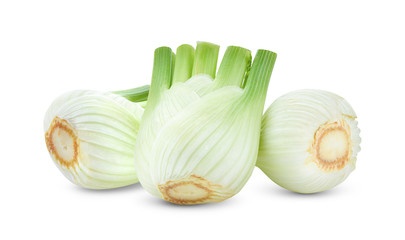 Fresh fennel on a white background