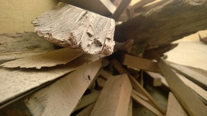 firewood