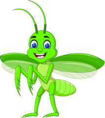 Funny Green Mantis Cartoon