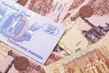 A close up image of an Egyptian twenty five piastres note with Egyptian one pound bank notes in macro