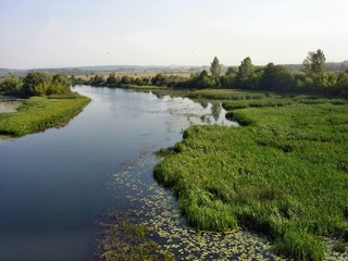 Fototapeta na wymiar A wide river on a late summer morning.