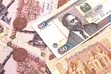 A close up image of a fifty Kenyan shilling bank note in macro with Egyptian one pound bank notes