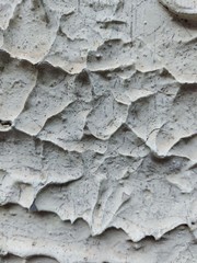abstract wall gray color backgrough