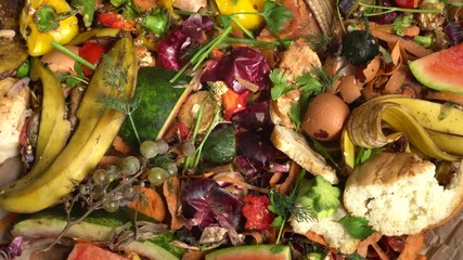 Biodegradable organic kitchen food waste for composting. Compost. Vegetable and fruit remains and peelings, eggshells and coffee sediments, tea and coffee bags, tainted food, stale bread and biscuits