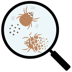 ルーペで拡大したダニとダニの死骸 © hako