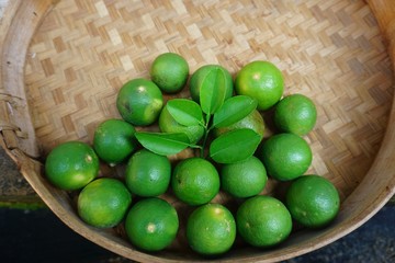 lime (Citrus aurantifolia) green color that is still fresh.