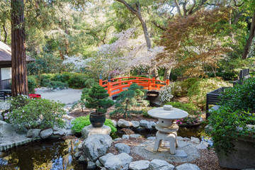 Beautiful flower blossom at Descanso Garden