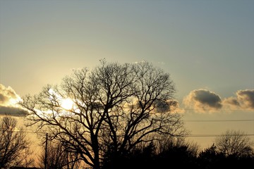 Sunset out in the country in Kansas with a tree silhouette with clouds and power lines.