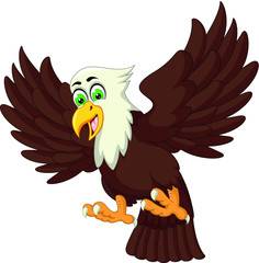 Funny Flying Brown White Eagle Cartoon