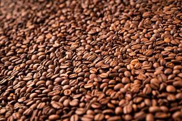 Close-up of roasted coffee beans