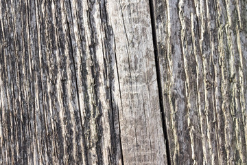 Obraz premium texture and background of a wooden bar, a place for designer's ideas and advertising