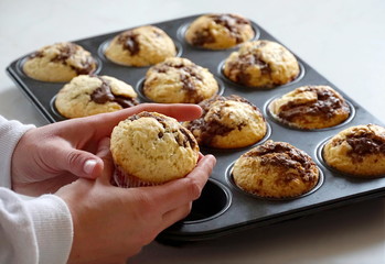 Sweet muffin in the girl hands with just baked muffins in the background