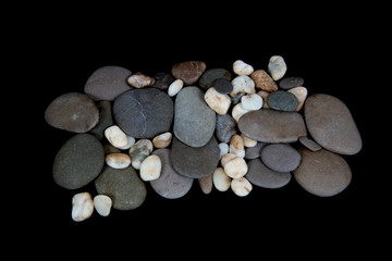  Stones and shells on a black background, marine still life