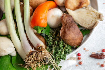 Variety of uncooked wild forest raw mushrooms