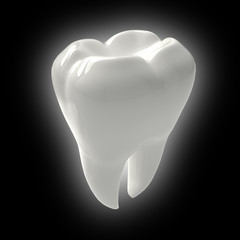 Molar tooth with roots on a dark background with a white glow