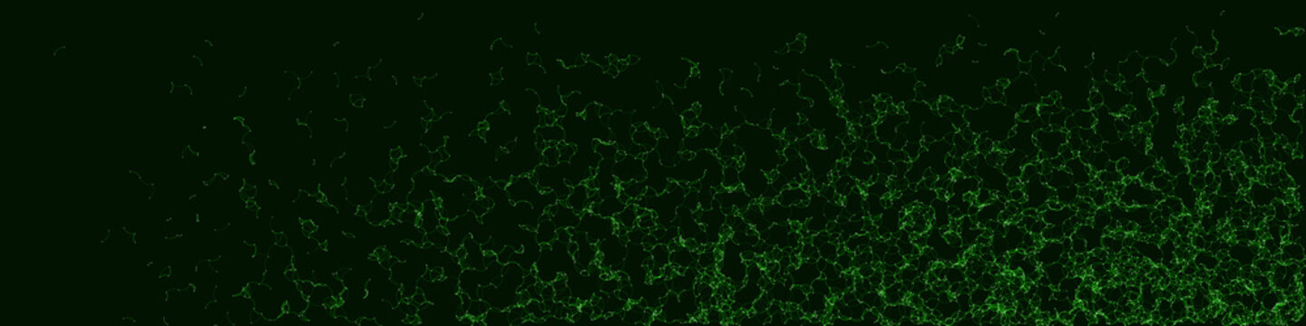Network Mesh Procedural Art background illustration
