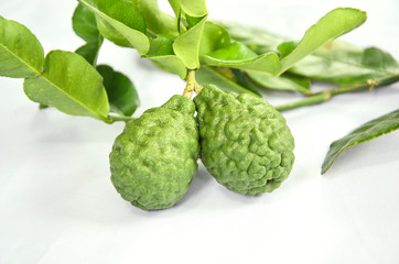Two fresh kaffir limes with leaves on white floor