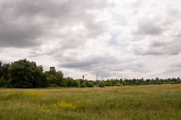 Fototapeta na wymiar Green meadow with trees and houses far away. Small town