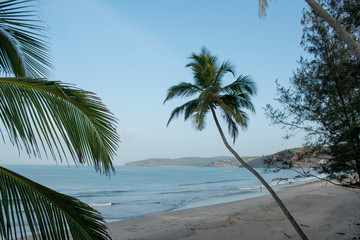 Fototapeta na wymiar View of beautiful Velneshwar beach in India