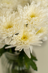 Close up shot of white flowers in a vase