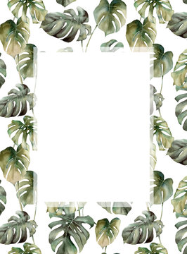 Watercolor tropical border with monstera leaves. Hand painted card with exotic branches isolated on white background. Floral illustration for design, print, fabric or background.