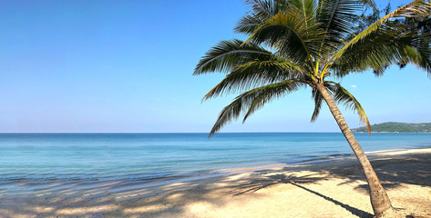 Beach and palm trees on the island of Phuket in Thailand