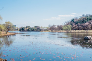 Obraz premium Blue sky and lake in springtime