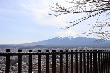 富士山と裾野