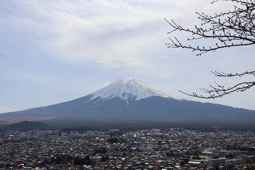 Fototapeta na wymiar 日本の心の富士山
