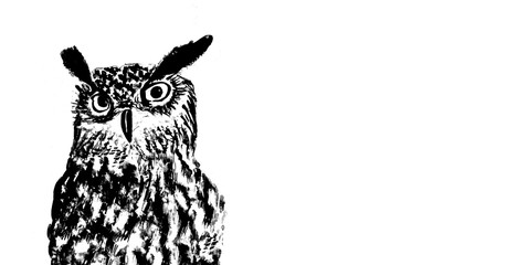 Cartolina con gufo in bianco e nero isolato su sfondo bianco