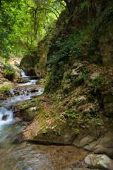 streams and lakes in the heart of the national park on vacation