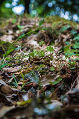 streams and lakes in the heart of the national park on vacation