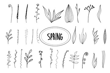 Twigs, leaves. Isolated graceful plants for design. Set of black vector illustrations on a white background.