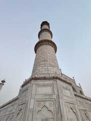 taj mahal pillar
