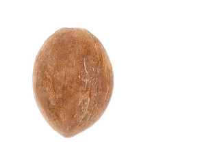 Half coconut shell isolated on white with copy space. Indian cuisine, ayurveda, naturopathy concept