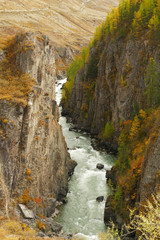 Altai, Chuya river