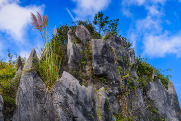 Stunning landscape in the Cabarceno nature park. Cantabria. Northern coast of Spain