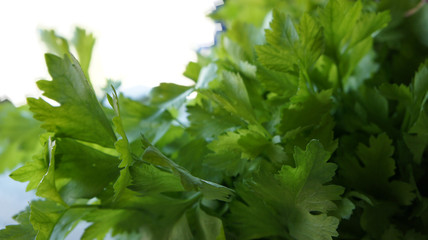 Meny green fresh celery.