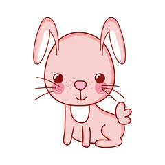 cute rabbit animal cartoon isolated icon design