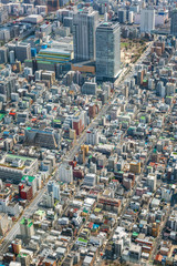 Tokyo top view. A densely-built metropolis from the height of the Sky Three tower.